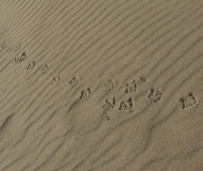 Прикрепленное изображение: DSCF6082.jpg